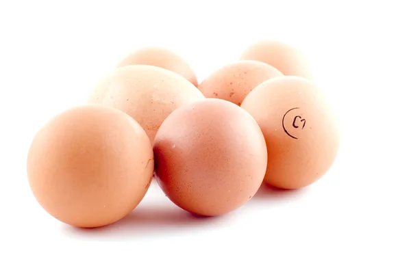 Yumurta yakın çekim — Stok fotoğraf