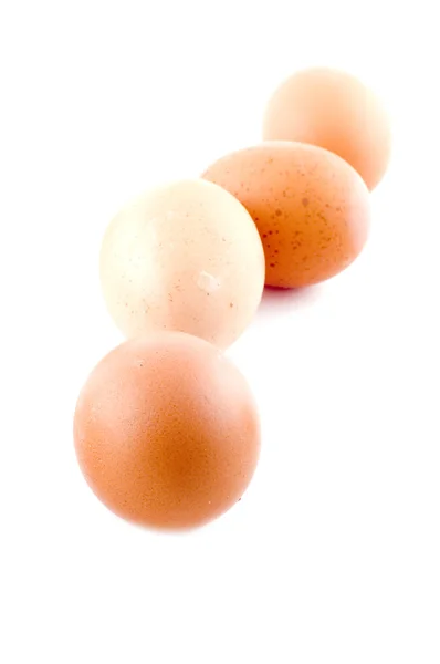 Macro delle uova — Foto Stock