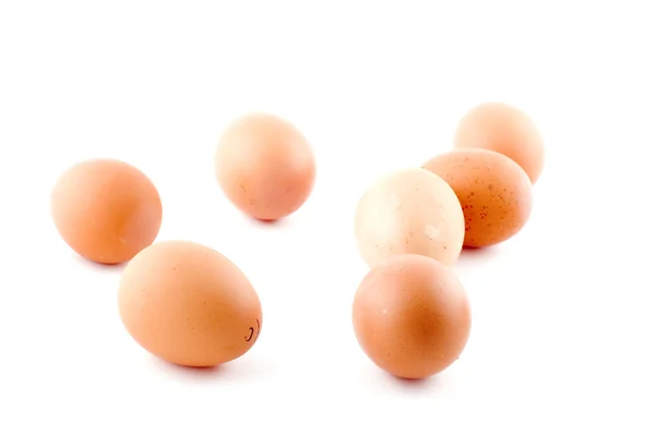 Closeup vajíčko — Stock fotografie