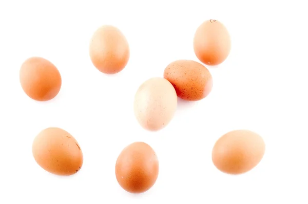 Huevo sobre blanco — Foto de Stock
