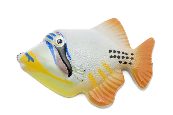 Fish magnet macro — Stock Photo, Image