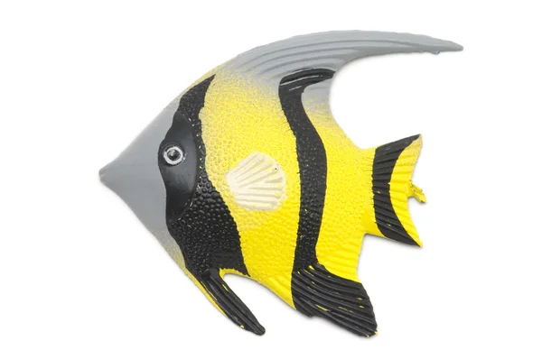 Fish magnet — Stock Photo, Image