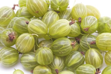 Gooseberries closeup clipart