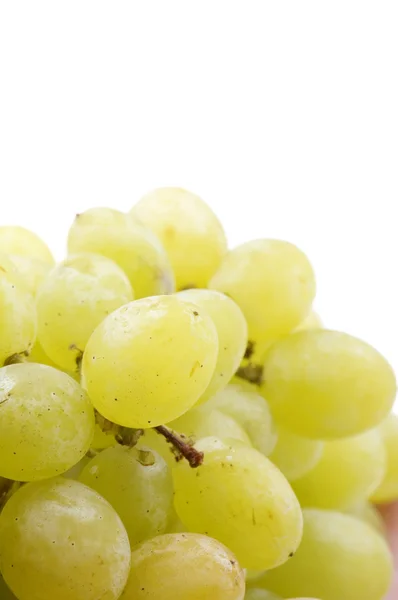 Macro d'uva — Foto Stock