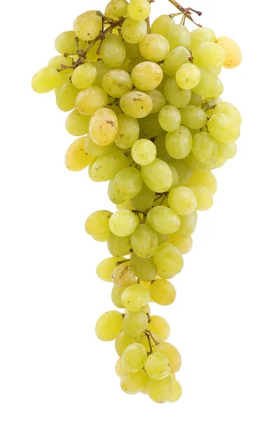 Виноград на білому тлі — стокове фото