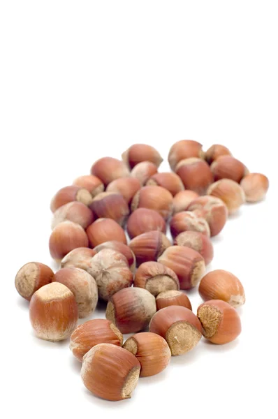 Lískového ořechu na bílém pozadí — Stock fotografie