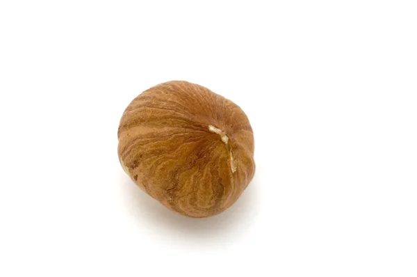 Lískového ořechu — Stock fotografie