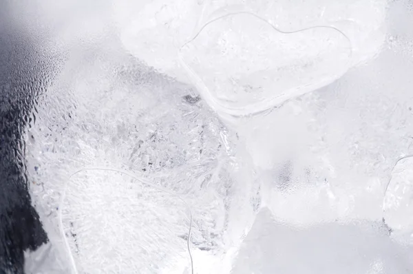 Buz portre — Stok fotoğraf