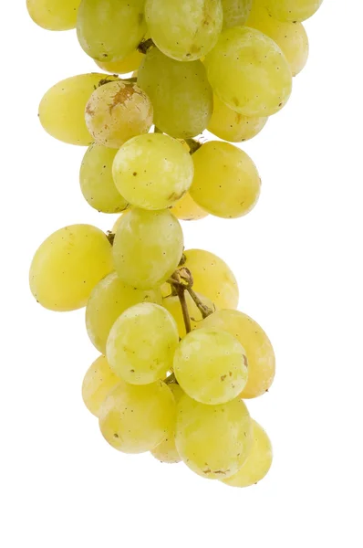 Winogrona z bliska Zdjęcia Stockowe bez tantiem