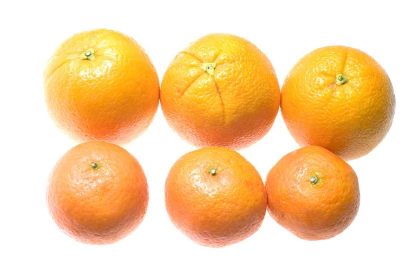 Mandarine und Orange — Stockfoto
