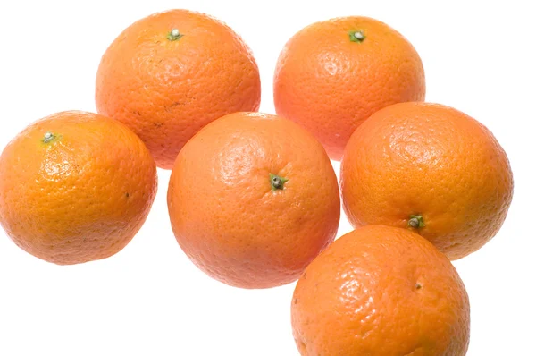 Beyaz Mandarin — Stok fotoğraf