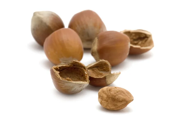 Otevřít lískového ořechu — Stock fotografie