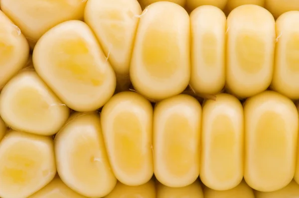 Macros de maíz crudo — Foto de Stock