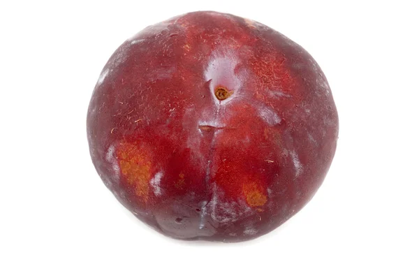 Somon roșu — Fotografie, imagine de stoc