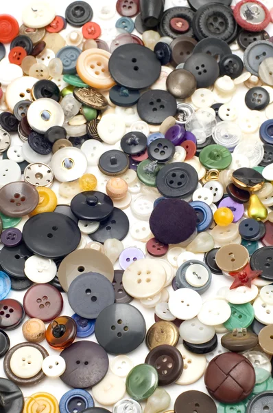 Sew colored button on white — Stock Photo, Image