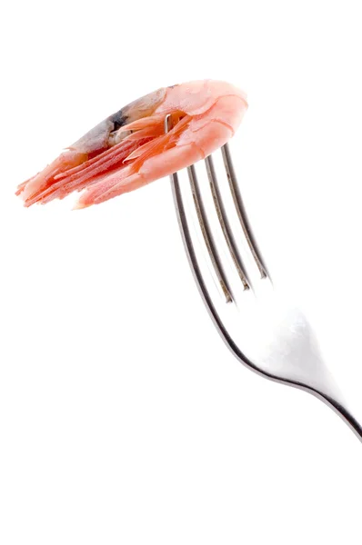 Shrimp with fork — Stock Photo, Image