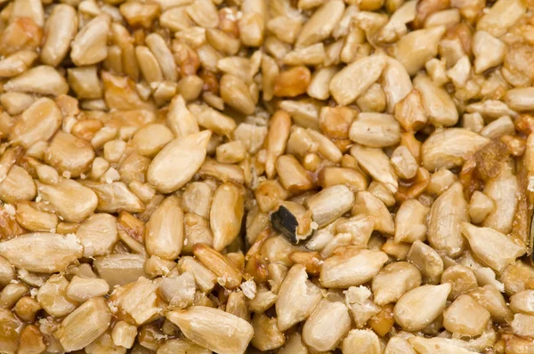 Makro nasion słonecznika — Zdjęcie stockowe