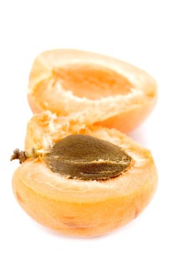 Apricot clingstone closeup clipart