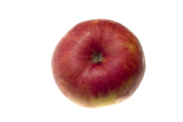 Макро Apple — стоковое фото