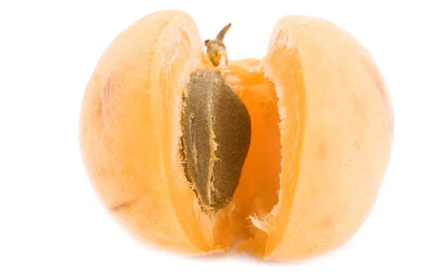 Apricot clingstone close up — Stock Photo, Image