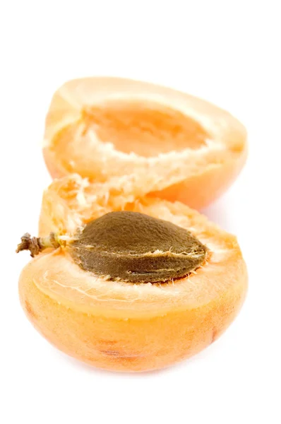 Apricot clingstone closeup — Stock Photo, Image