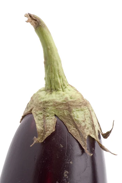 Patlıcan portre — Stok fotoğraf