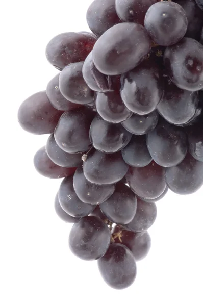 Black grapes close up — Stock Photo, Image