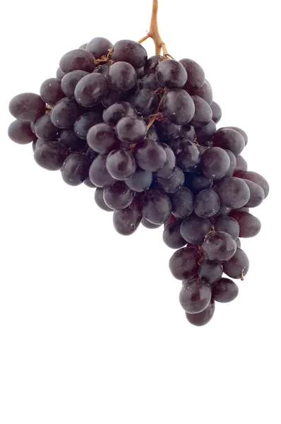 Raisins noirs gros plan — Photo