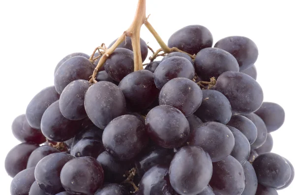 Macro de uvas pretas — Fotografia de Stock