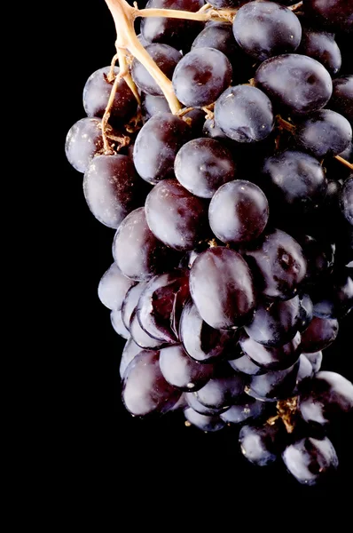 Uvas pretas em preto — Fotografia de Stock