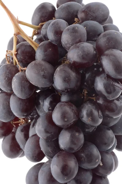 Raisins noirs sur blanc — Photo