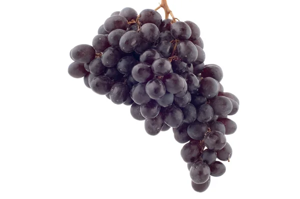 Чёрный виноград — стоковое фото