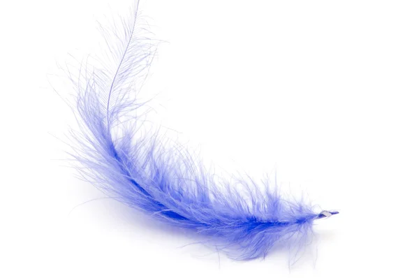 Μπλε φτερό — Φωτογραφία Αρχείου