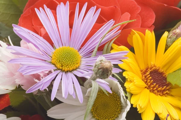 Bunch of flowers close up — Stock Photo, Image