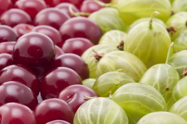 Ciliegie con uva spina macro — Foto Stock