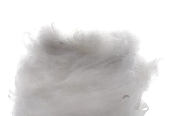 Macros de algodón absorbente —  Fotos de Stock