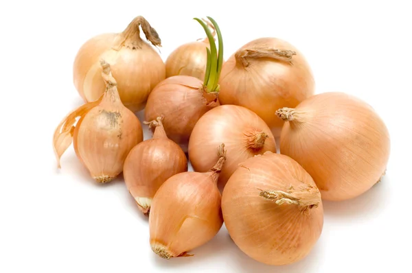 Bulb onion on white Royalty Free Stock Photos