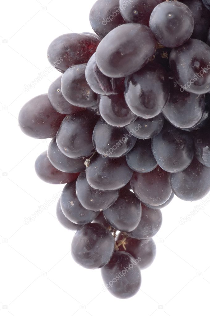 Black grapes close up