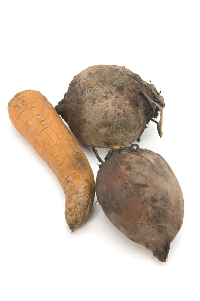 Gekochte Rüben und Karotten — Stockfoto