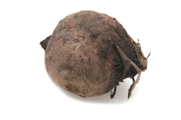 Boiled beet — Stock Photo, Image
