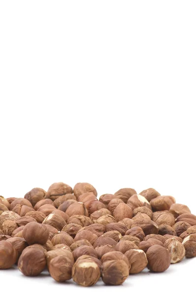 Closeup lískového ořechu — Stock fotografie