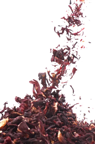 Hibiscus herbata makro — Zdjęcie stockowe