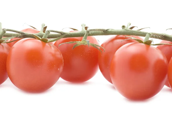 Closeup de tomate cru — Fotografia de Stock