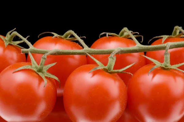 Red tomato close up — Stock Photo, Image