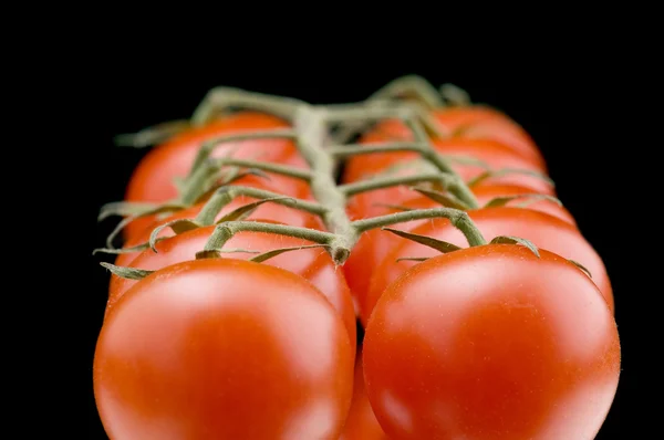 Closeup de tomate vermelho — Fotografia de Stock