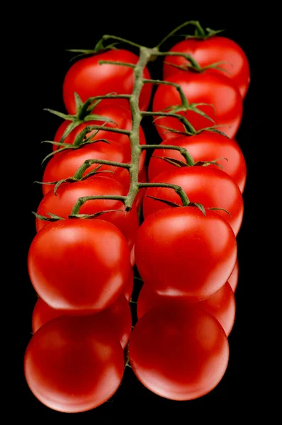 Czerwony pomidor makro — Zdjęcie stockowe