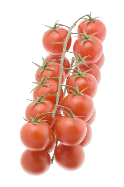 Tomate vermelho em closeup branco — Fotografia de Stock