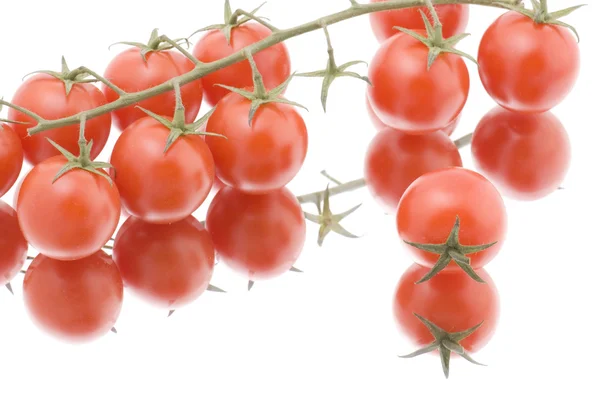 Red tomato on white macro — Stock Photo, Image