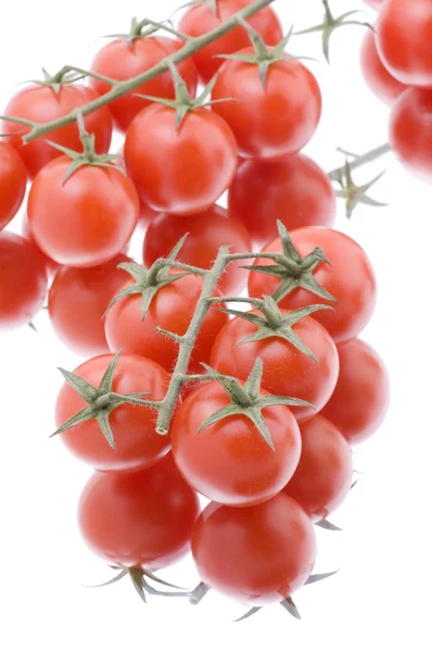 Ripe raw tomato — Stock Photo, Image