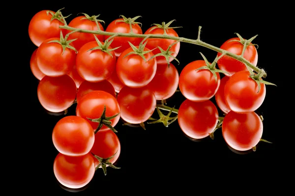 成熟番茄关门 — 图库照片